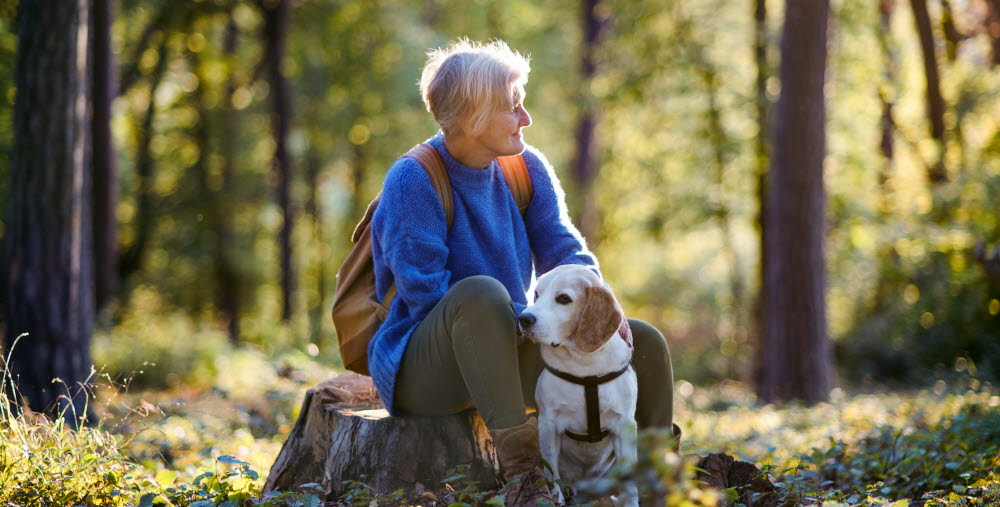 A happy senior woman with dog on a walk outdoors in forest, resting.